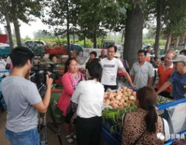 魏县私密,探寻历史与现代交融的神秘魅力