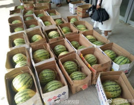 合肥市吃瓜网,揭秘本地美食风云，带你畅游舌尖上的合肥